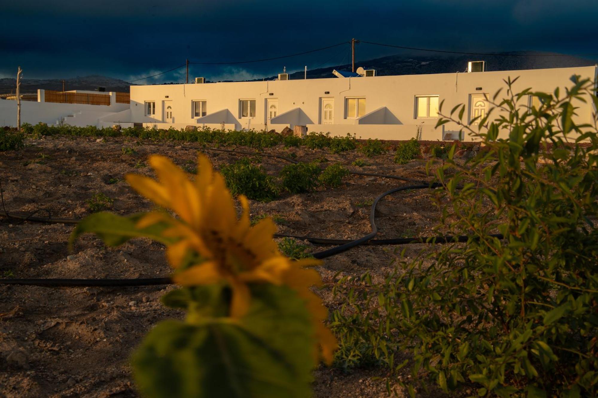 Emporio  Calma Eco Houses Sunset View מראה חיצוני תמונה