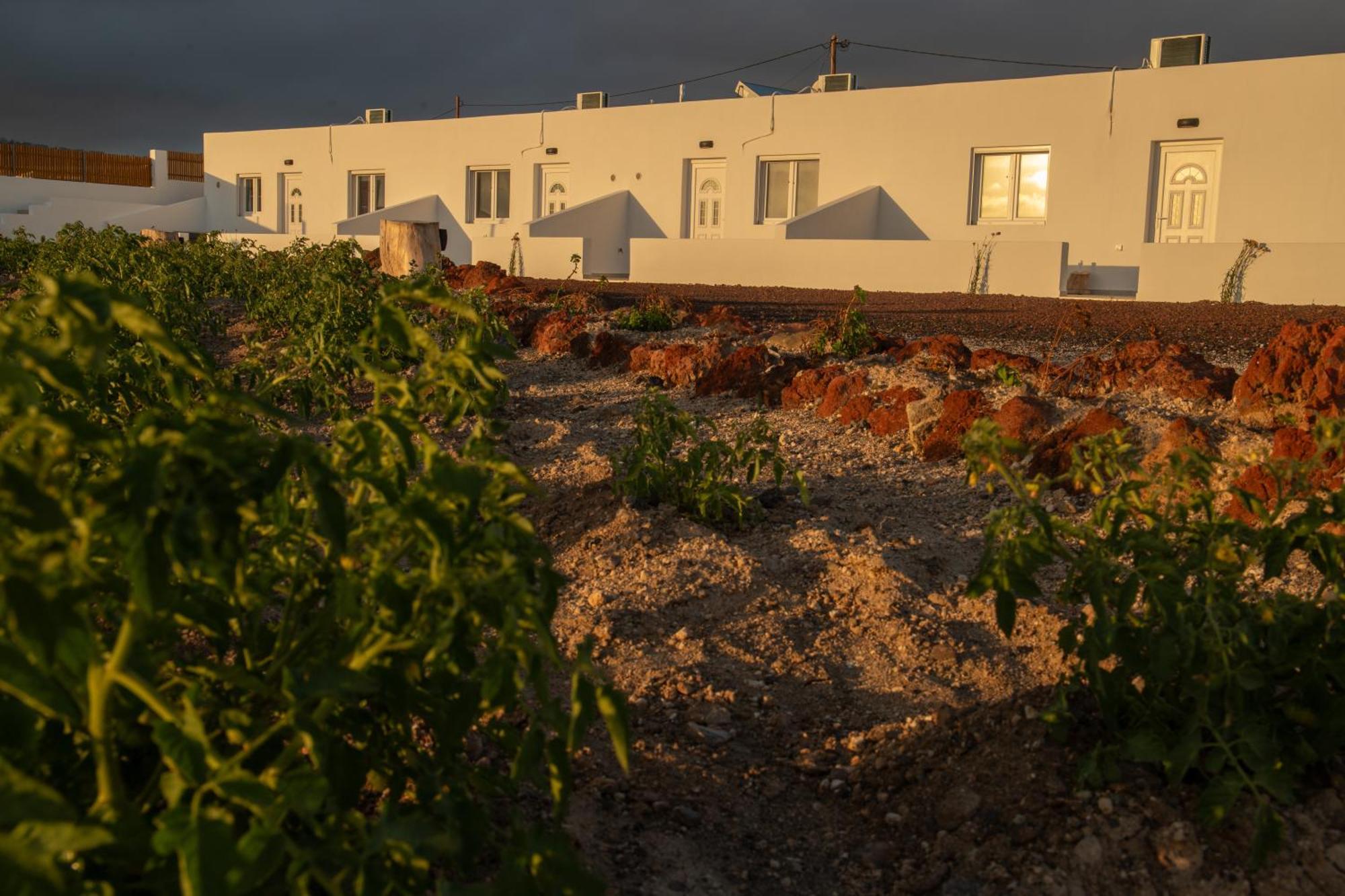 Emporio  Calma Eco Houses Sunset View מראה חיצוני תמונה